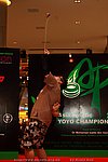 AP2010A_174.JPG