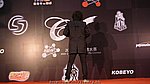 09EX5CNYC_324.JPG