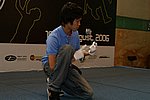 hkyc20060819b_204.JPG