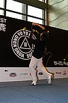 hkyc20060820b_185.JPG