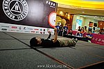 hkyc2011_day2_272.JPG