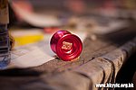 IMG_7231.jpg