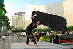 15112008_208.JPG