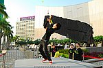 15112008_209.JPG