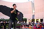 15112008_288.JPG