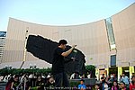 15112008_294.JPG