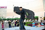 15112008_298.JPG