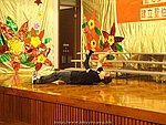 hkyyfc18032009_047.JPG