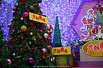 21122008B_090.jpg