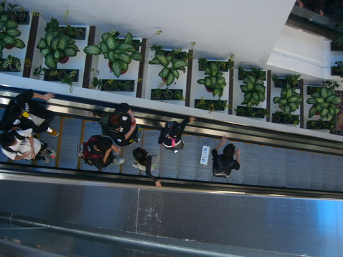ap05075.JPG