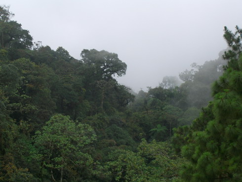 ap05086.JPG