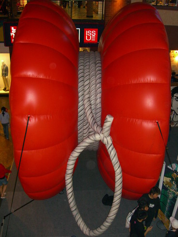 ap05101.JPG