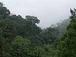 ap05086.JPG