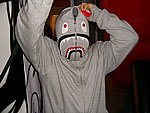 ap05119.JPG